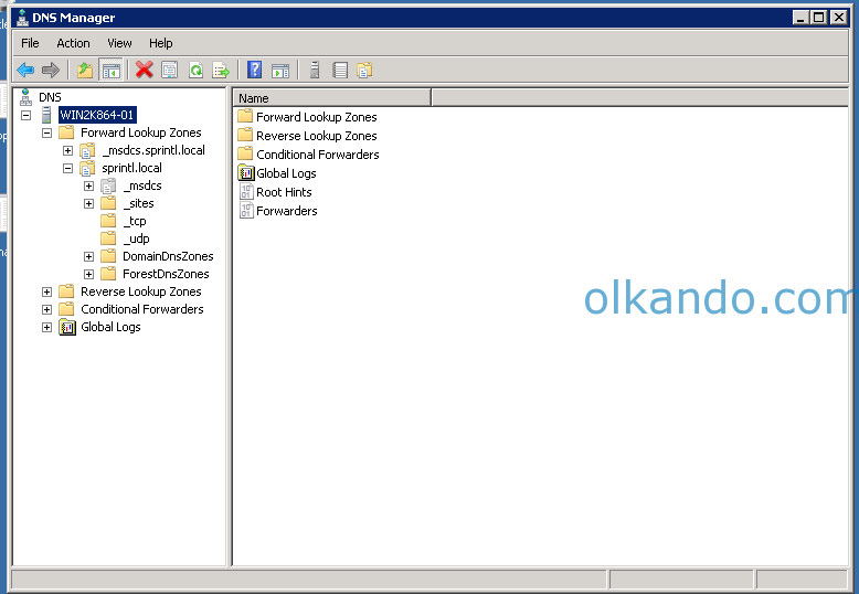 Windows DNS Manager konsolu; sol ağaçta ileri arama bölgeleri, sağ bölmede bölgeye ait mevcut kayıtlar listeleniyor.