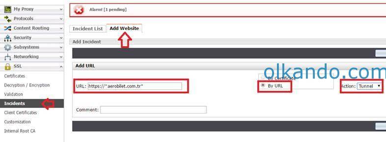 Websense Content Gateway yönetim arayüzü, Incidents bölümü. Add Website sekmesinde URL alanına bir adres girilmiş; By URL seçeneği işaretli ve Action olarak Tunnel seçilmiş; hepsi kırmızı çerçevelerle vurgulanmış.